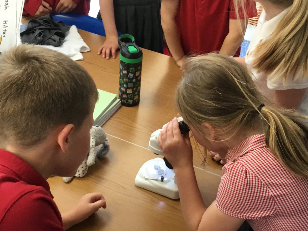 Mrs.McDonough tweet media