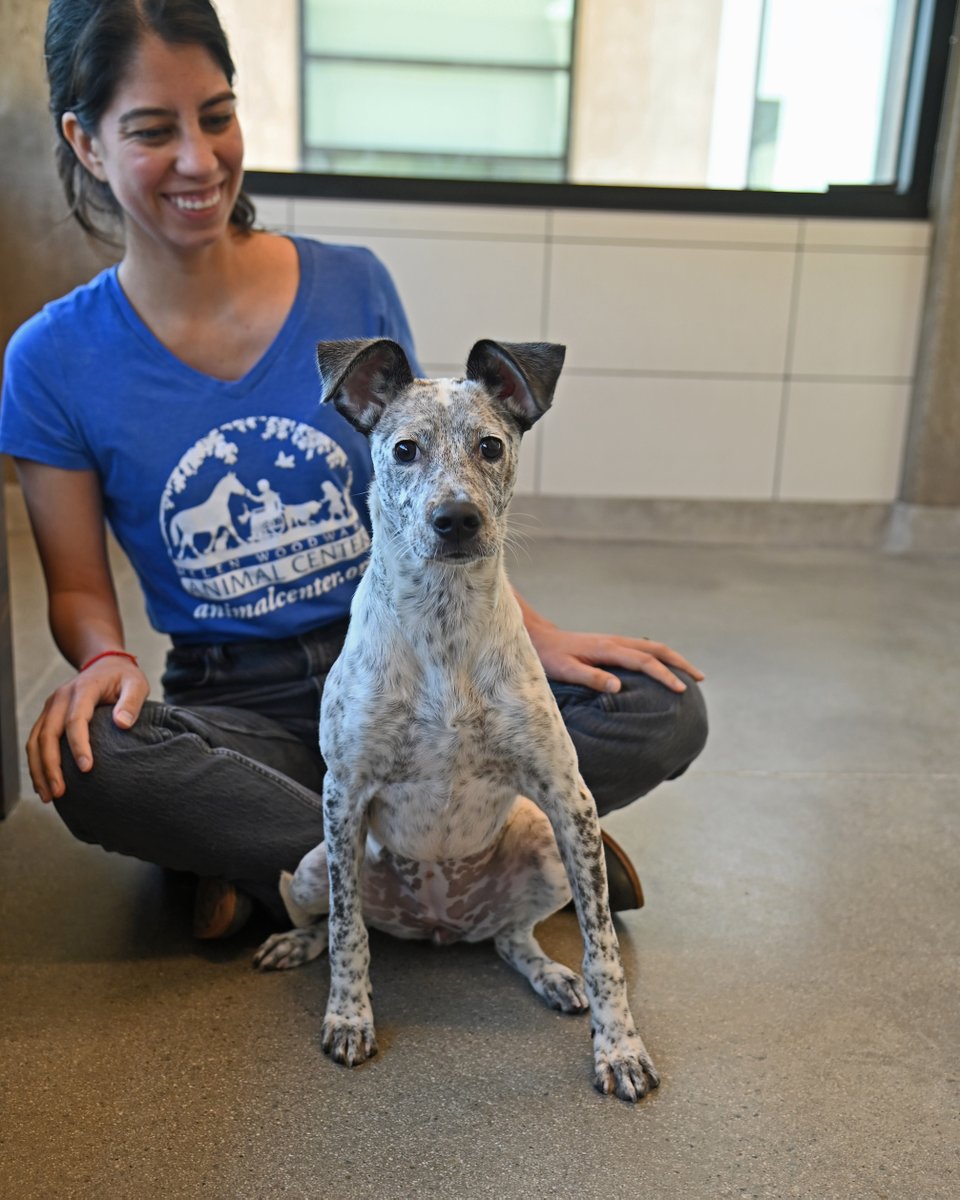 PAWhaps today is the day you meet your new best friend! 🐾💕

Stop by the Center to meet the furry tails waiting to be adopted. The Paws For Patriots adoption event is this weekend, military members and their families are getting sponsored adoption fees!💙 animalcenter.org/adopt-a-pet/