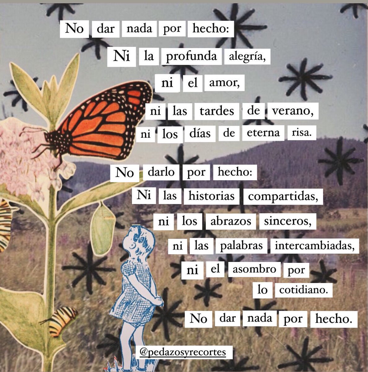 Ana Sofía (@anasofiaguemez) on Twitter photo 