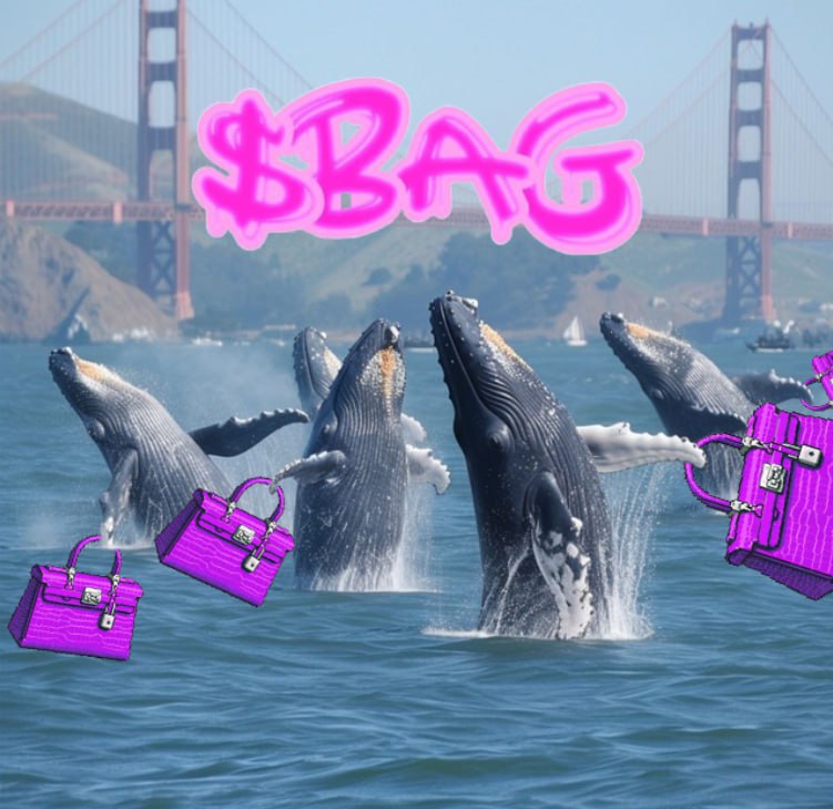 X100King's tweet photo. @jeremybtc The #BagStaysOn 🫡 $BAG
@BirkinBagSolana
Hold your bag tight fam 🐋 👜🫡 https://t.co/2SdmCAlrmV