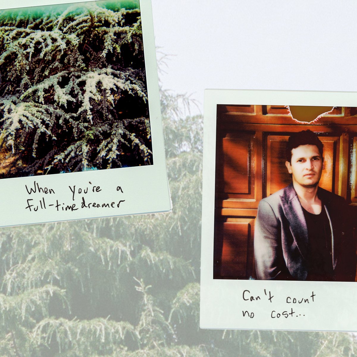 Dylan Rockoff tweet media