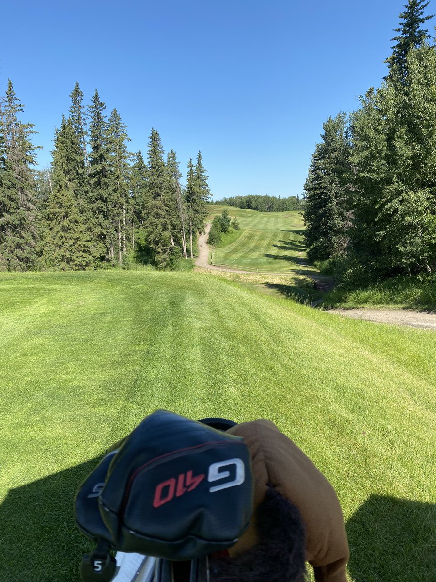 Annual Stampede round at <a href="/wolfcreekgolf/">Wolf Creek Golf</a> Mint condition. Those narrow tee shots still kill me.😬