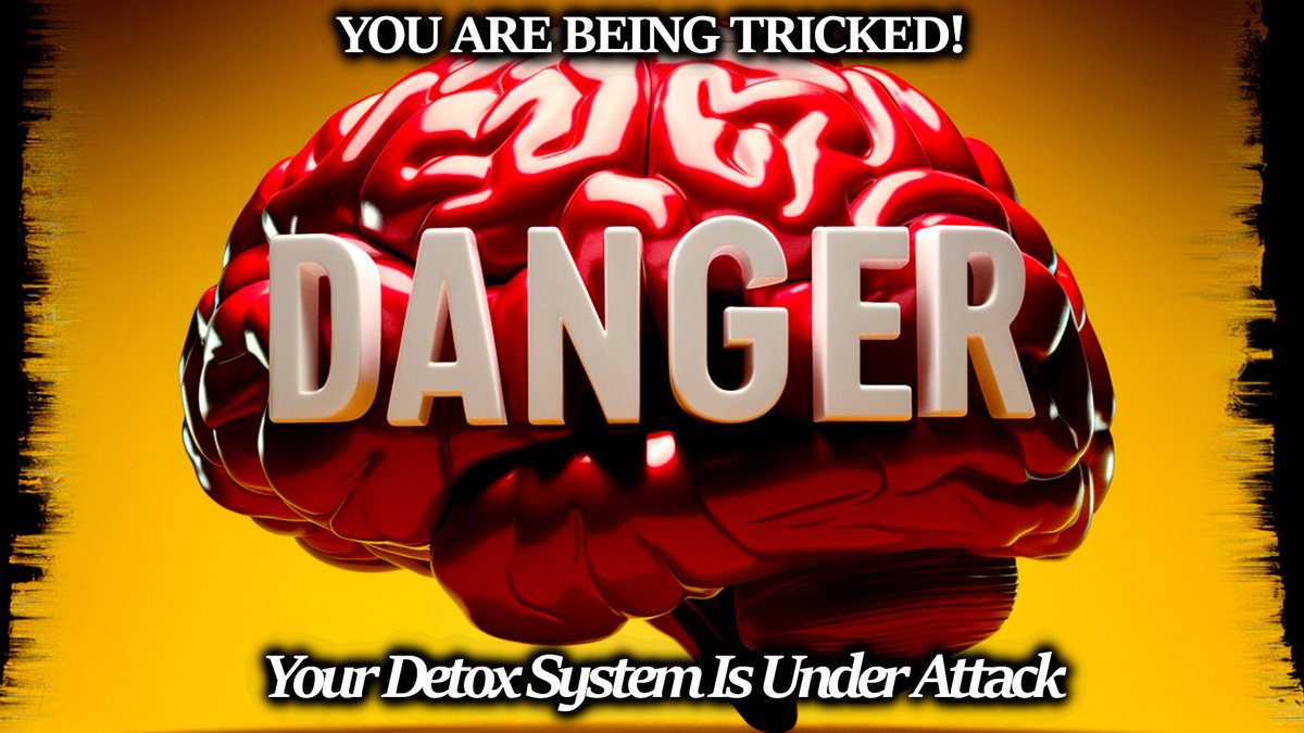 TimTruth123's tweet image. WARNING! Your Detox System Is UNDER ATTACK: The War On Our Heroes of Detox: P-Glycoprotein (Pgp) and CYP3A4 timtruth.substack.com/p/warning-your…