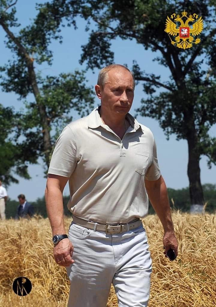 🇷🇺 Do you support President Putin?

Yes or no