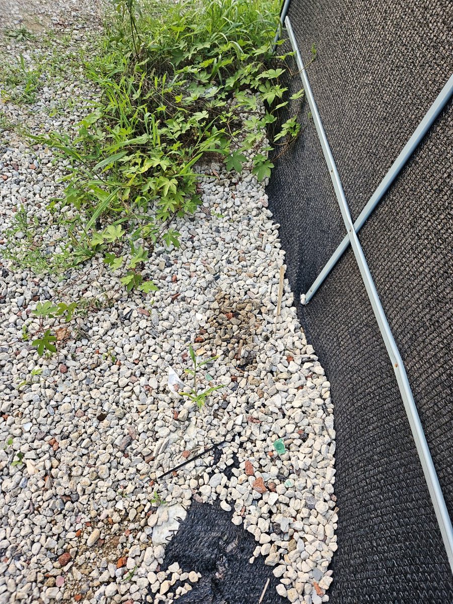 rokeeKR's tweet photo. #CleanUpChallenge
@cleanify_vet https://t.co/0mL0fDUUqI