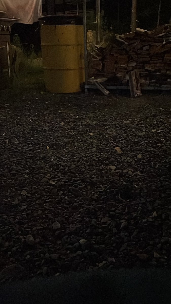 TheAmazingGamerYT tweet media