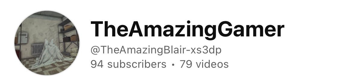 TheAmazingGamerYT tweet media