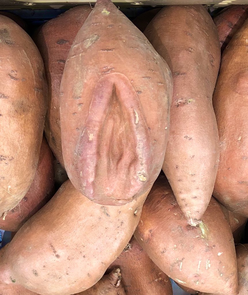 teejay_76's tweet photo. @tubingtyler1 I yam, what I yam. https://t.co/UumXI9jrZA