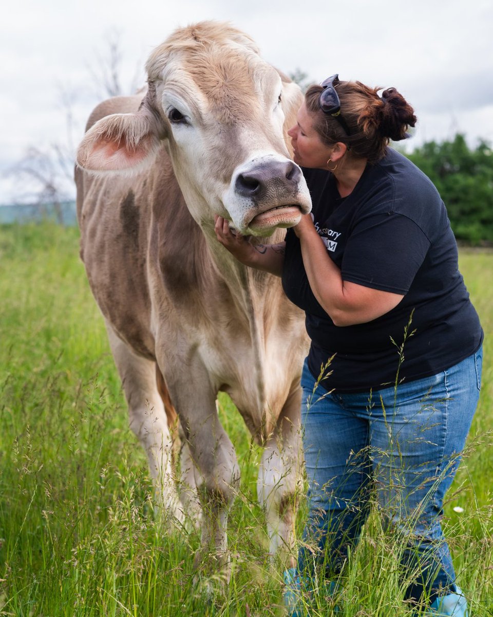 FarmSanctuary's tweet photo. Join us at this year's Hoedown on August 17th and 18th for this two-day community event featuring food justice, animal protection, and vegan movement leaders. Your ticket includes open sanctuary time, vegan meals, and camping!  🐮 💚

Reserve your spot:
https://t.co/aSpFd2HdaS https://t.co/FMdihzB0Bs
