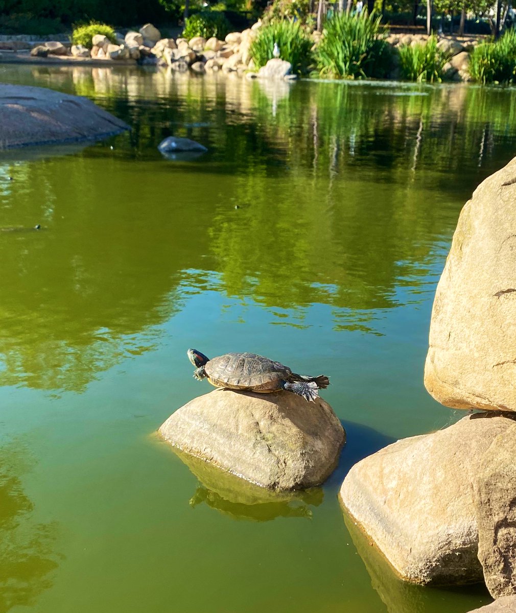 The world is cursed, but still, you find reasons to keep living