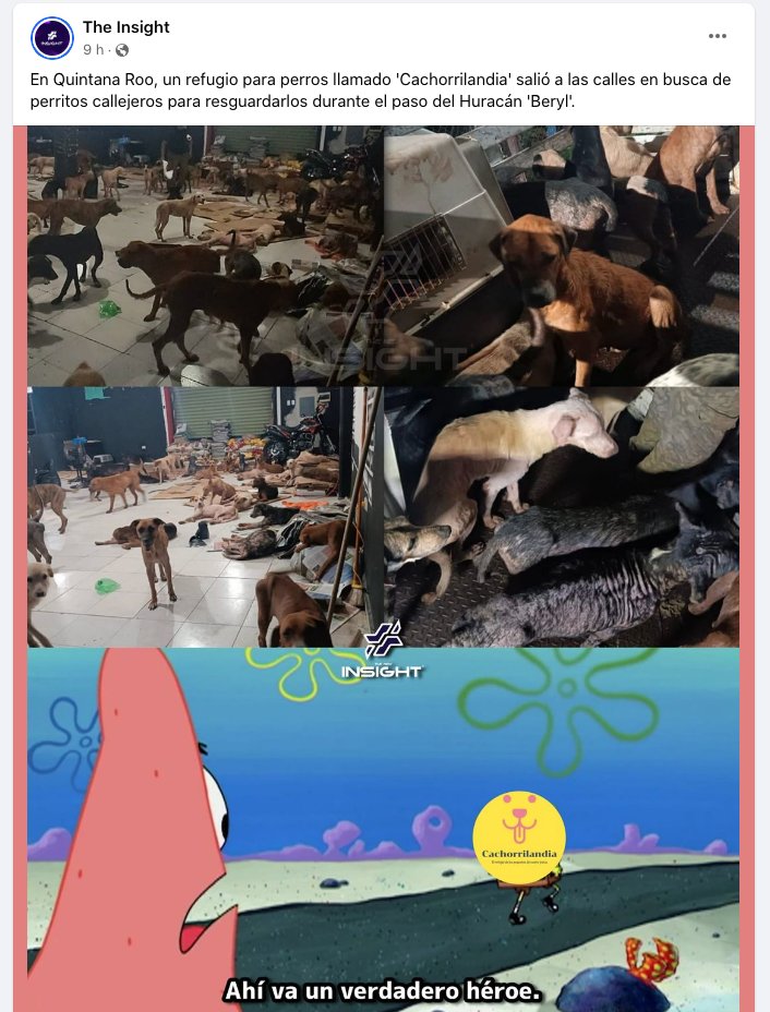 Pet's Life Community tweet media