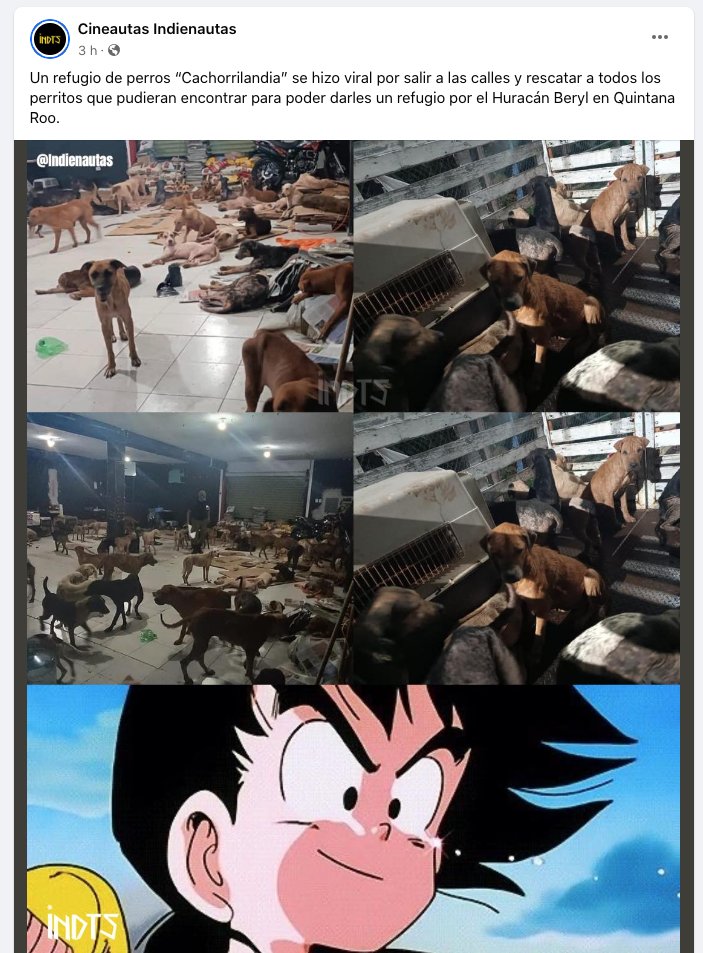 Pet's Life Community tweet media