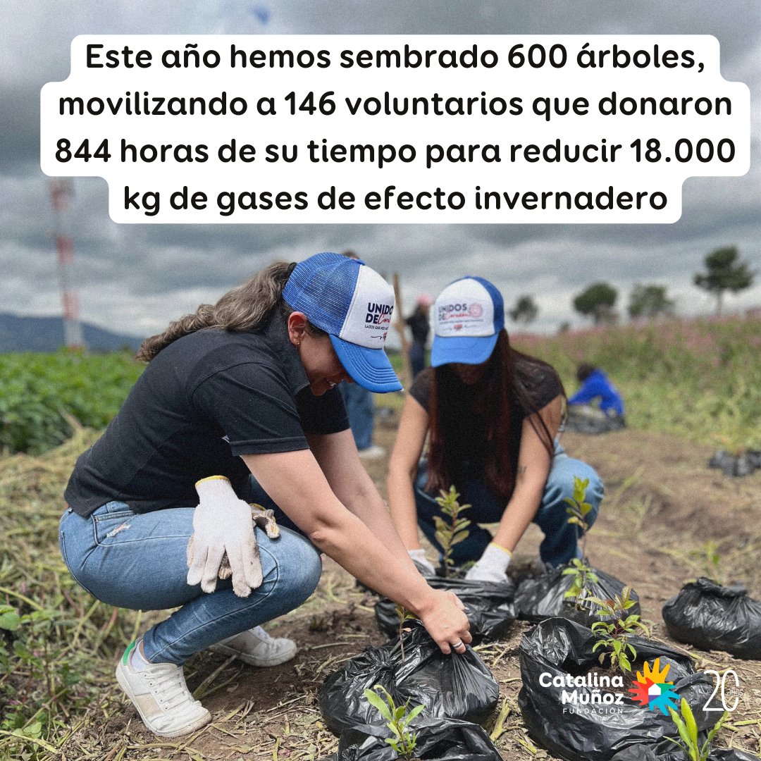 FCataMunoz's tweet photo. ¡Desliza para ver los increíbles logros que hemos alcanzado en 2024! juntos, podemos construir los sueños de miles de familias en Colombia. 🌟🏡

📣En estos 20 Años, cada número es una vida que hemos transformado! 🇨🇴🇨🇴

#ConstruyendoSueños #Pontela20xlos20FCM https://t.co/aLlkJiCLUs