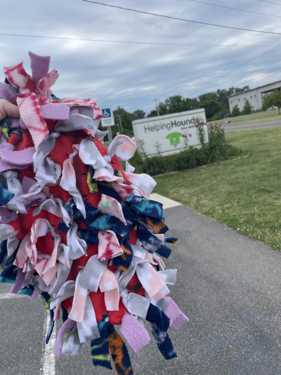MFitzTeach's tweet photo. Today I dropped off my sophomores 7 snuffle mats at helping hounds. I hope the pups love them! #servicelearningproject https://t.co/uPHa72JM4Z