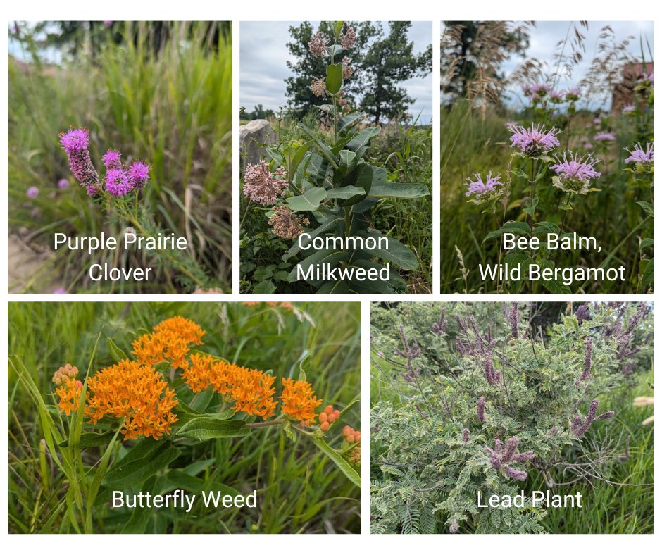 Linn Co Conservation tweet media