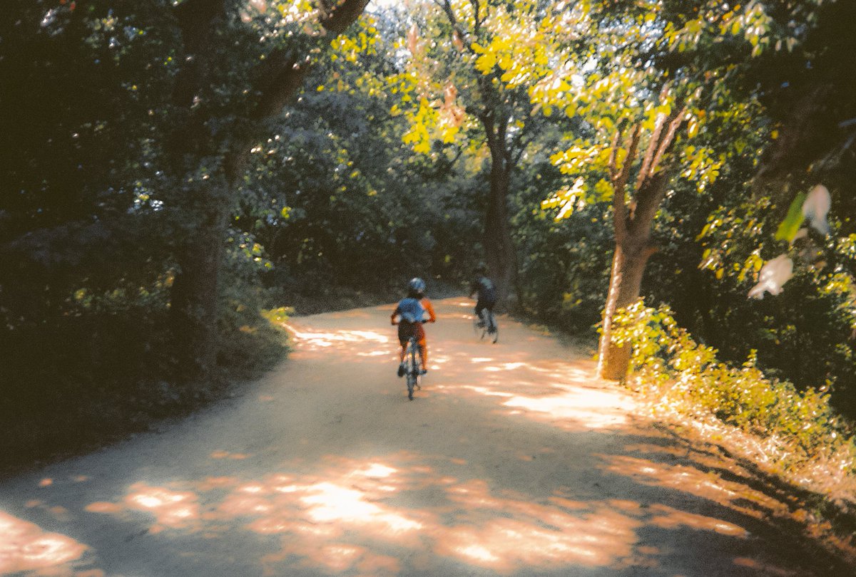 JennVisuals's tweet image. morning stroll on 35mm film
