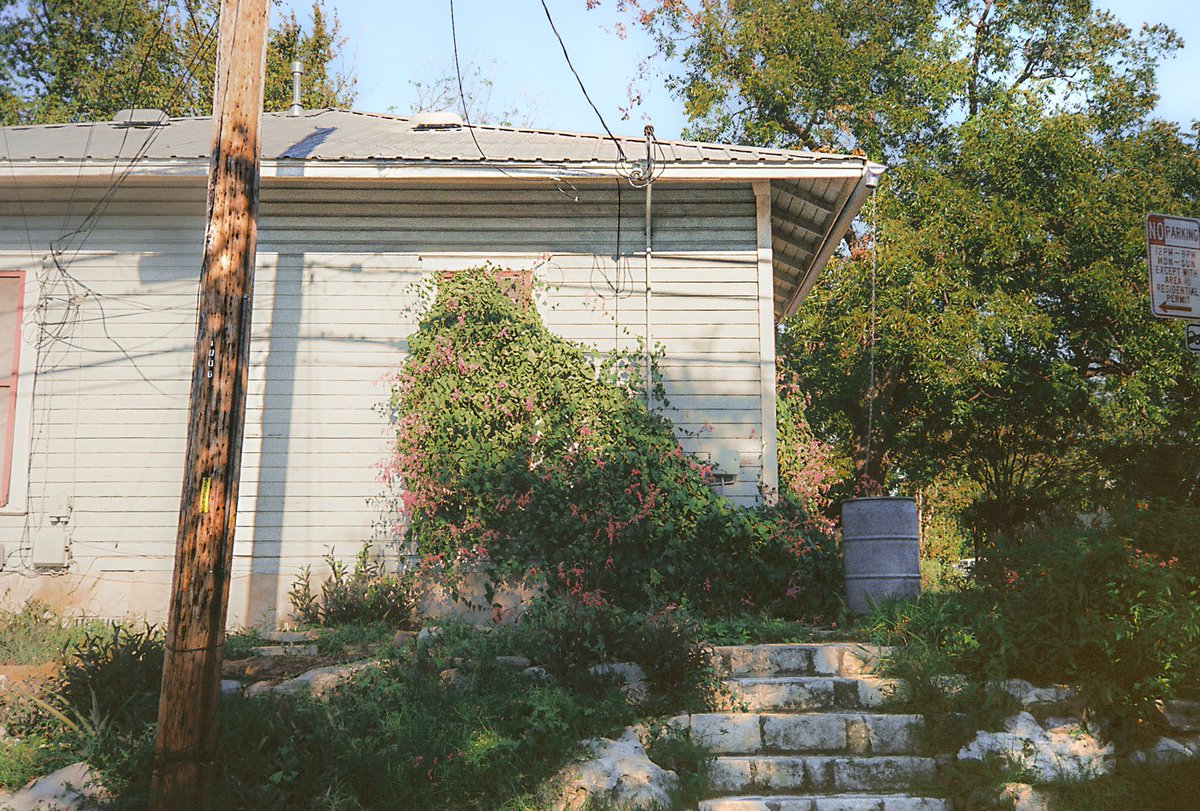 JennVisuals's tweet image. morning stroll on 35mm film