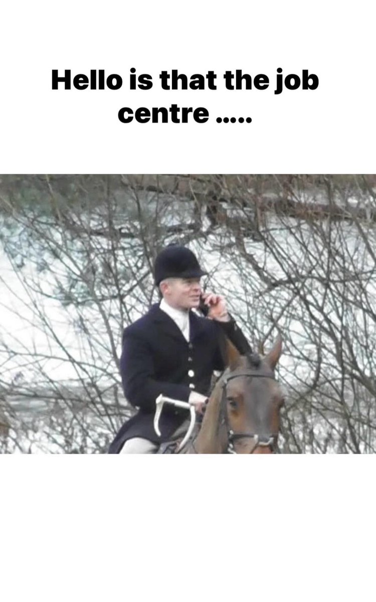 Cheshire Against Blood Sports tweet media