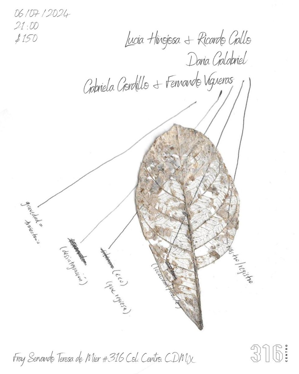 Fernando Vigueras tweet media