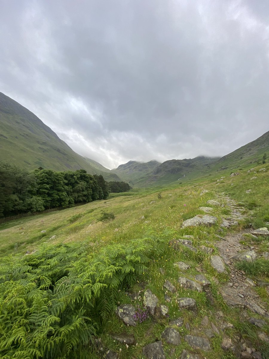 ChelseaDofE's tweet photo. Our 2nd Gold Expedition in the books! The first time ever for a @chelseaacademy cohort to have done the gold assessed! Well done to all on both the practice and assessed. Some great views of the Lake District! Thank you @samsykesexped https://t.co/RK06FkL2kU