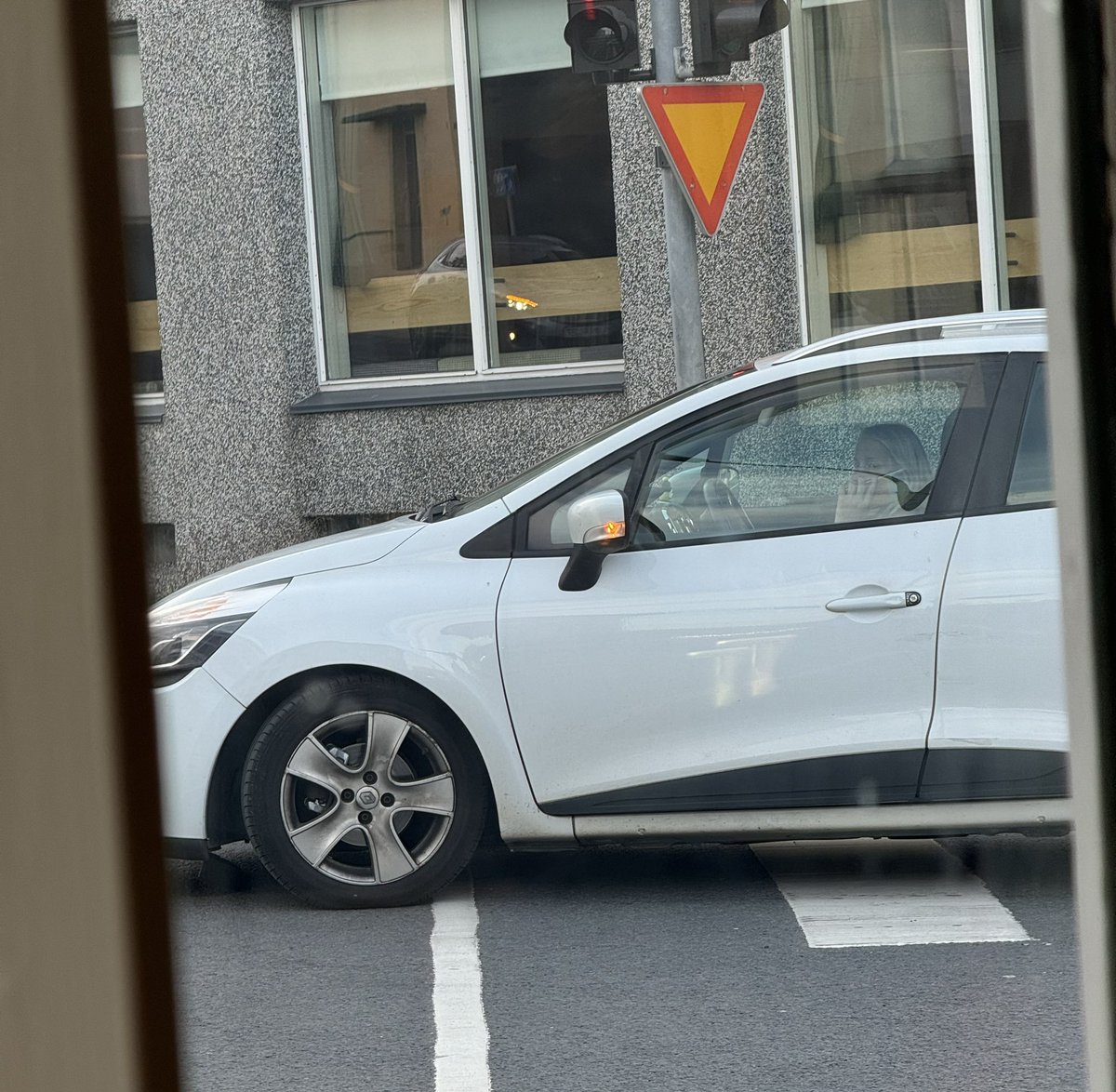 Þegar þú ætlar að taka mynd af ketti hinu megin við götuna, en kona í símanum að keyra yfir á rauðu fer í veg fyrir skotið. Because Reykjavík