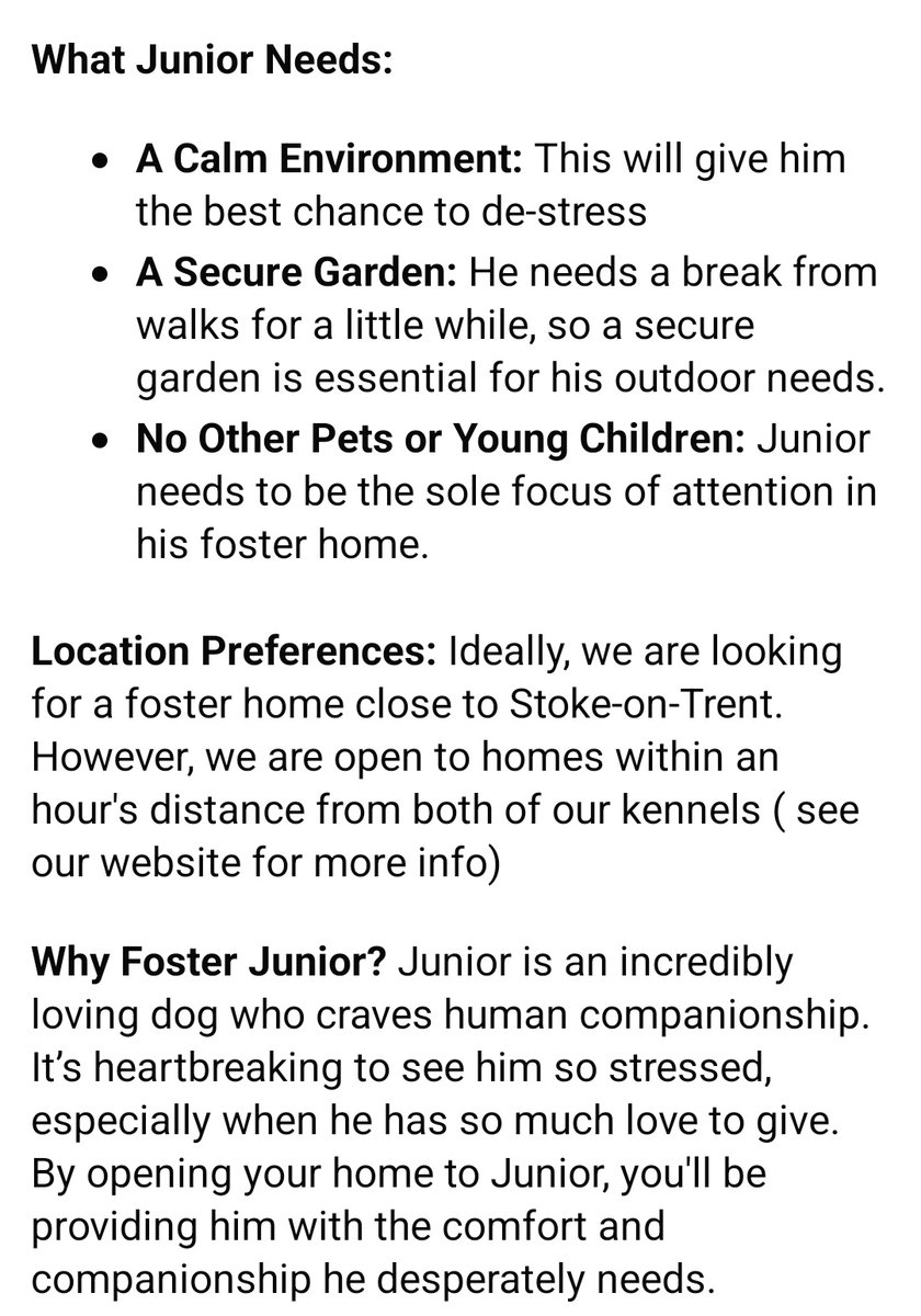 SeniorStaffy's tweet image. Good evening Staffy Lovers!
We need your help please 🙏 
We are desperately in need of a foster home for our beautiful boy Junior. Sadly he's super stressed in kennels and not coping well 😪 can you help? Read below for more info of being a foster pawrent ❤️ #TeamZay #FosterMe ❤️