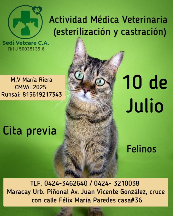 sedivetcare's tweet photo. Actividad Médica Veterinaria para felinos 😺 (esterilización y castración)

📅10 de Julio

Para más información :
☎️0424- 3210038  
      0424- 3462640

📍 Estamos ubicados en la Urbanización Piñonal. Av Juan Vicente González casa # 36 https://t.co/cTqBRrdewo