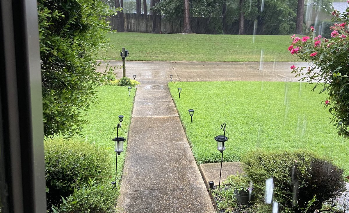 MatthewNash099's tweet photo. This rain is acting like steroids to this good ole SouthArk St Augustine, thereβs going to be some good competition this Thursday!!! @OutKickTNML #letsgomow https://t.co/F78u1MMwM9