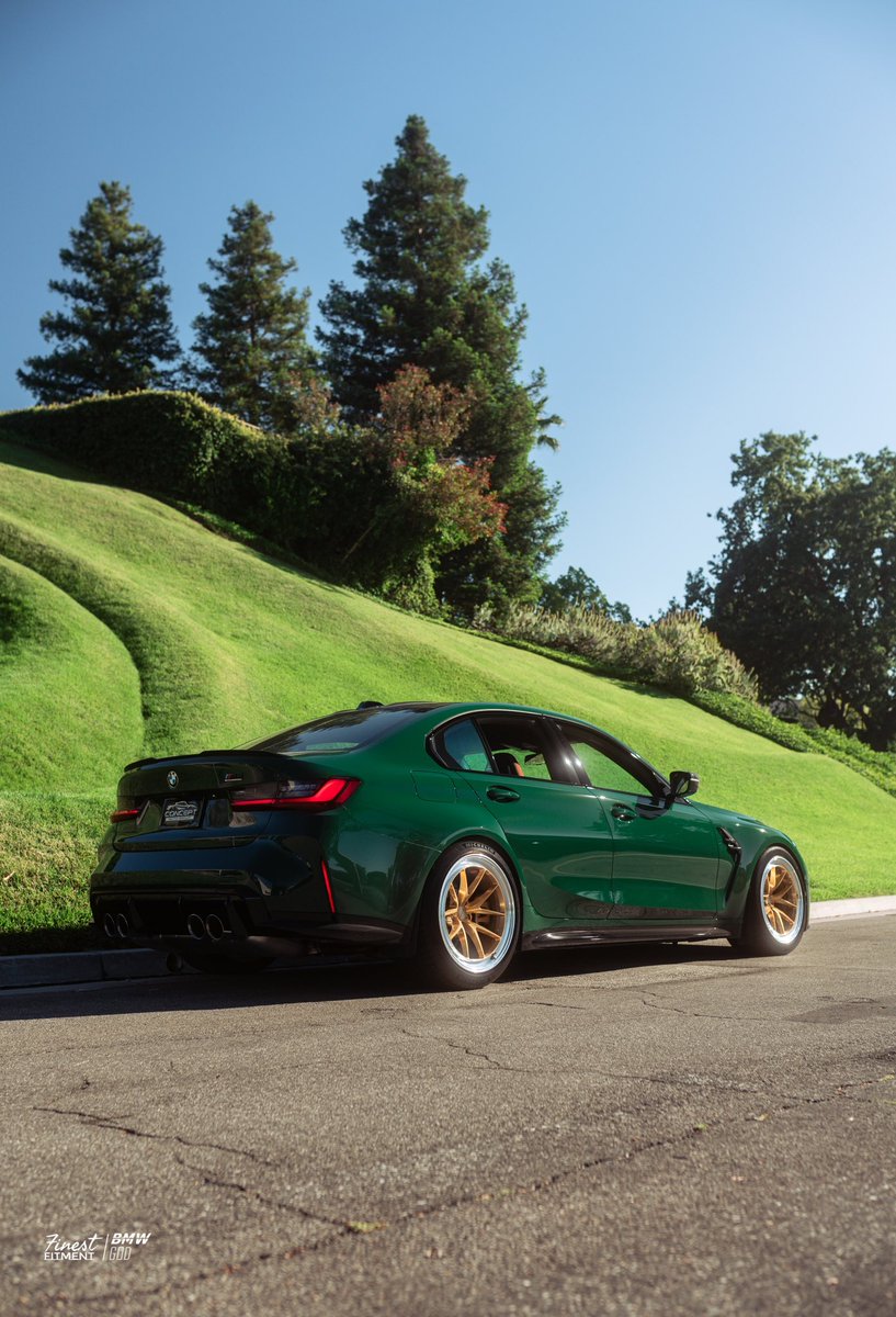 𝚎𝚕𝚒 tweet media