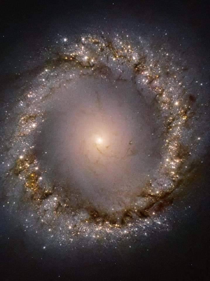 Inner Rings of galaxy NGC1097 <a href="/ESO/">ESO</a>