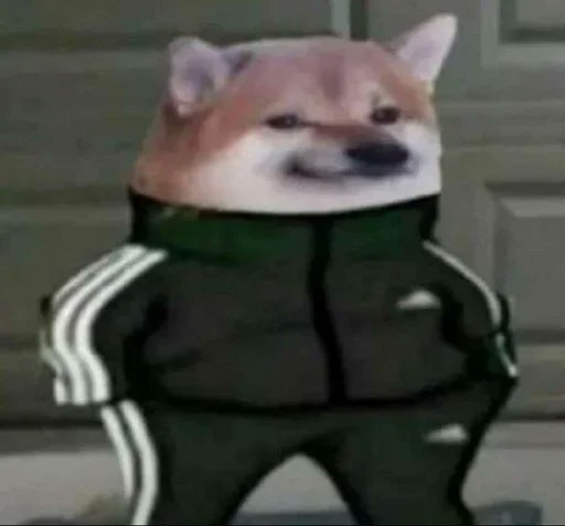 $Bruski on $Ton

EQDEM9T1fpCa56C8NKp4e_NuGhdSS-mwiPSvvfksToueZ0IP

geckoterminal.com/ton/pools/EQC2…