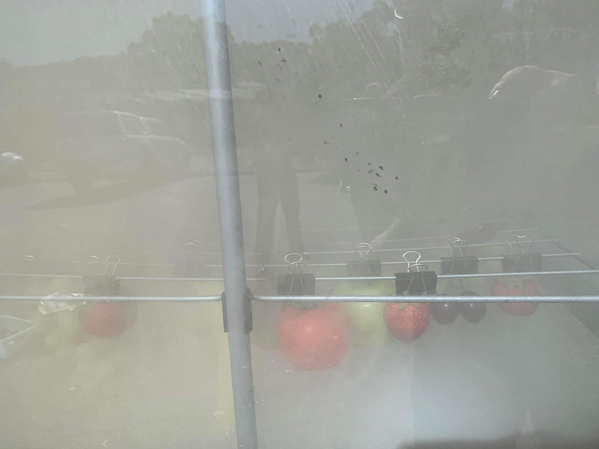 Kerry Wilkinson (@wine_chemist) on Twitter photo We know grapes (and wine) can be tainted by smoke… but other crops? This <a href="/UniofAdelaide/">Uni of Adelaide</a> study shed some light on the likely influence of skin texture/composition
mdpi.com/2311-7524/10/7… We know grapes (and wine) can be tainted by smoke… but other crops? This <a href="/UniofAdelaide/">Uni of Adelaide</a> study shed some light on the likely influence of skin texture/composition
mdpi.com/2311-7524/10/7…