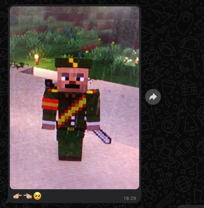 nadie: 
mi hermano jugando al maincra: