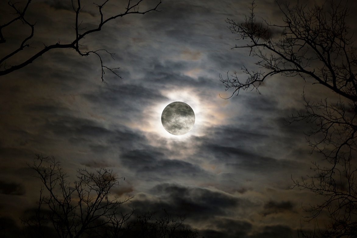 HadiDeeb's tweet photo. "To the untrue man, the whole universe is false."
-- Nathaniel Hawthorne
#quotes #quotesoftheday #quoteoftheday #love #LiteraturePosts #quote #book #art #poem #poetry #handinglove #truth #books #novel #Americana #ScarletLetter #universe #untruth #death #life #man #mankind https://t.co/ycb4vqVZCz