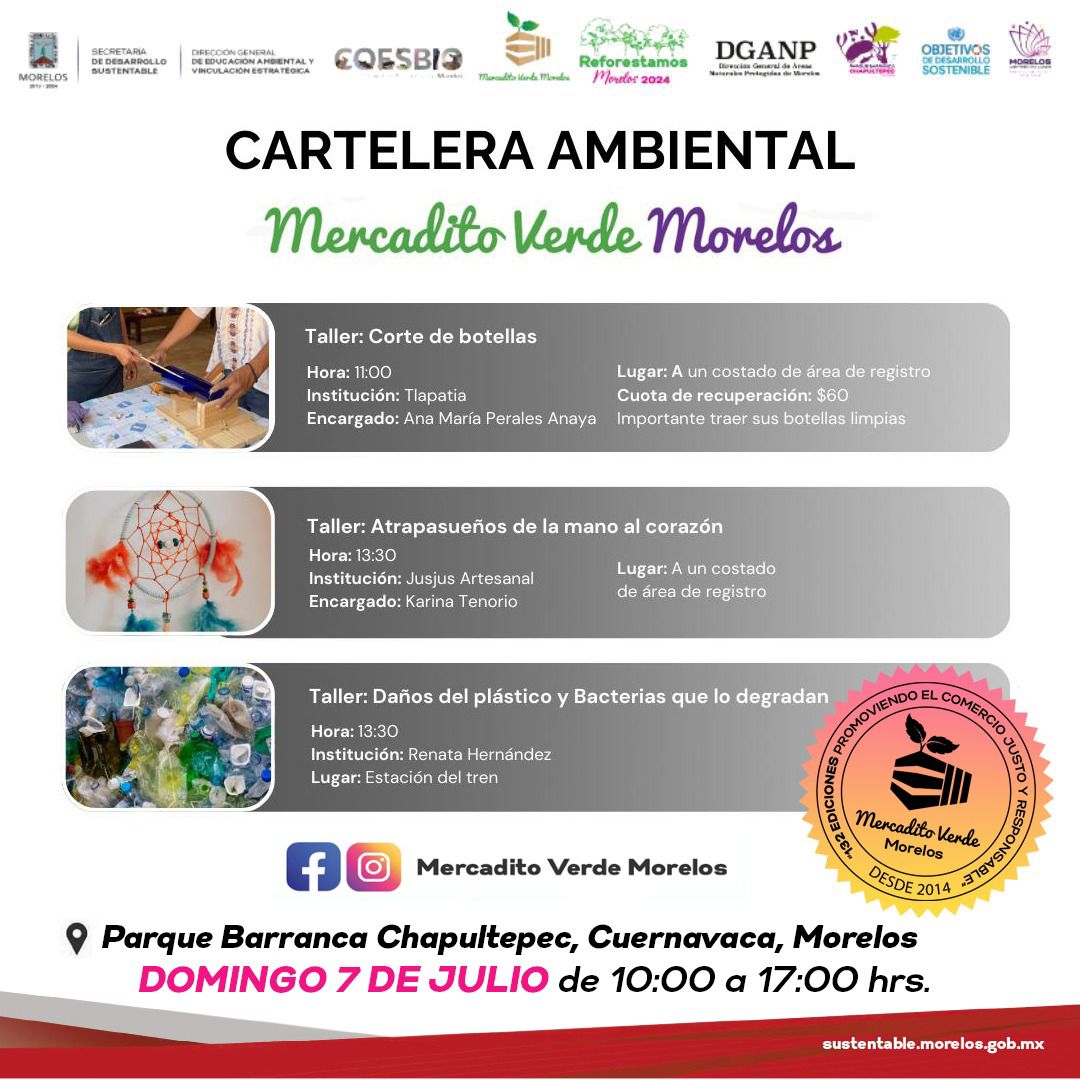 coesbio's tweet photo. ¡Prepárate para una jornada llena de aprendizaje y diversión en el Mercadito Verde Morelos este 7 de julio! 🌿🌟

#MercaditoVerdeMorelos #CarteleraAmbiental #Talleres #DiversiónYAprendizaje https://t.co/wjZ8DaUK0K