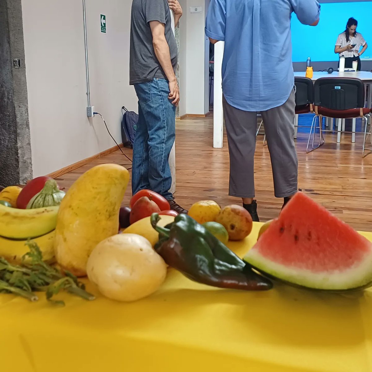 SeminarioSPIA's tweet photo. En estas 5 sesiones de #LARVARIO nos exploramos desde distintas perspectivas comenzando desde una primera sesión recopilatoria acerca de lo que en SPIA * se ha explorado de la investigación artística caminando hacia la Investigación incorporada (sesión 2 por Natalia) https://t.co/TxVGFGJwNI