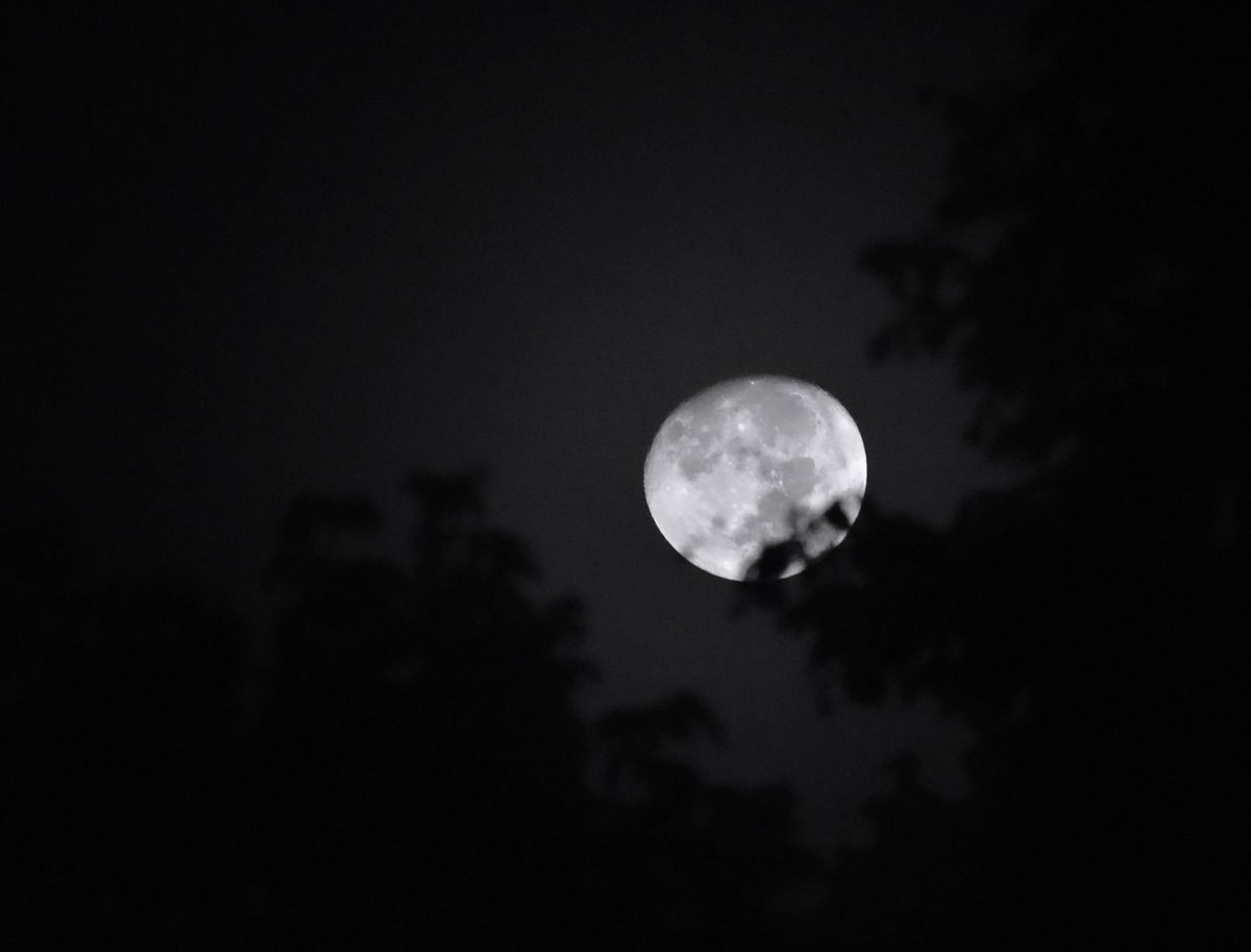 K_D_Thompson's tweet photo. Sometimes during a peaceful night it’s nice to sit outside and look up at the moon and stars ✨🌙

#photography #Astrophotography #blackandwhitephotography #bnwphotography #moon https://t.co/VzWbqCrUQm