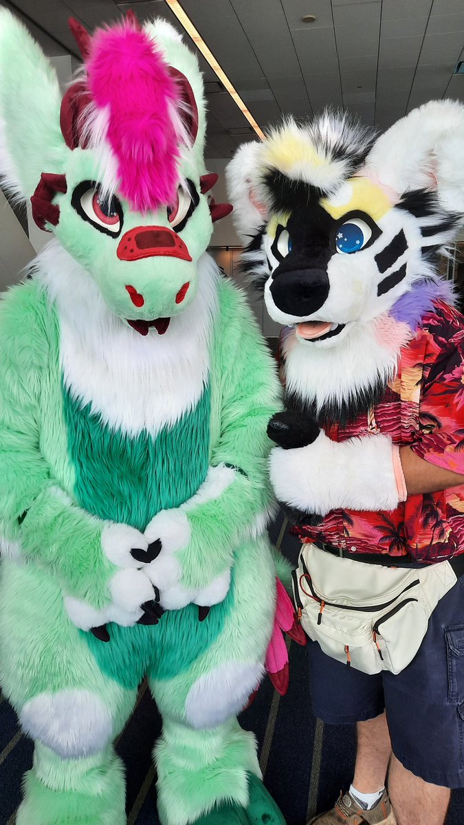 BLM Welsh Yeen'r Bean'r (@pushyp3ach) on Twitter photo Made it over to Anthrocon for the first time, and found another <a href="/Monstercatsuits/">MonsterCat Creations</a> suiter. Gonna be meeting more in time, and so jazzed to finally be here. #FursuitFriday
📷 Chaos (my boyfff)
Minchurrie (left) belongs to me
Tikki (right) belongs to <a href="/Wickedc838113/">Tikki Taka ➡️ Anthrocon 2025</a> Made it over to Anthrocon for the first time, and found another <a href="/Monstercatsuits/">MonsterCat Creations</a> suiter. Gonna be meeting more in time, and so jazzed to finally be here. #FursuitFriday
📷 Chaos (my boyfff)
Minchurrie (left) belongs to me
Tikki (right) belongs to <a href="/Wickedc838113/">Tikki Taka ➡️ Anthrocon 2025</a>