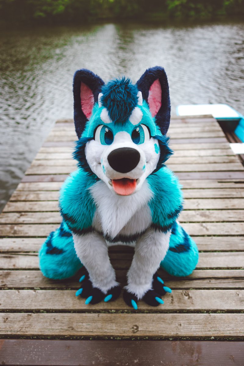 Sending boop from #cesfur 😊🩵
#FursuitFriday 

📸: <a href="/jaffadoesphotos/">˗ˏˋ J A F F A ˊˎ˗ @MP 🍑</a> 
📅: <a href="/CeSFuR/">ČeSFuR</a>