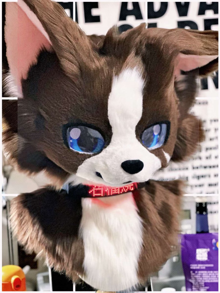 耳の形を変えるできるぞー
ご依頼ありがとうございました😊

#ミカもふもふ神社