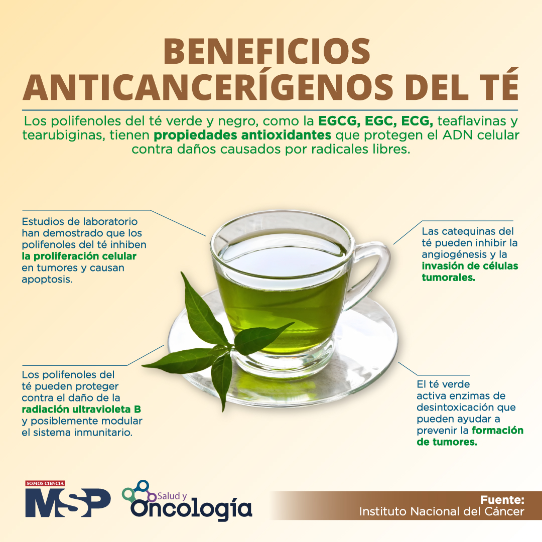 RevistaMSP's tweet image. #MSPOncología 🍵 Se atribuyen muchos beneficios del #téverde por la actividad #antioxidante de los #polifenoles en el #cáncer pero diferentes estudios vinculan su #consumo a múltiples beneficios. Aquí más detalles: ow.ly/eat650Swfy8

#MSP #SomosCiencia #MSPLegadoQueInspira