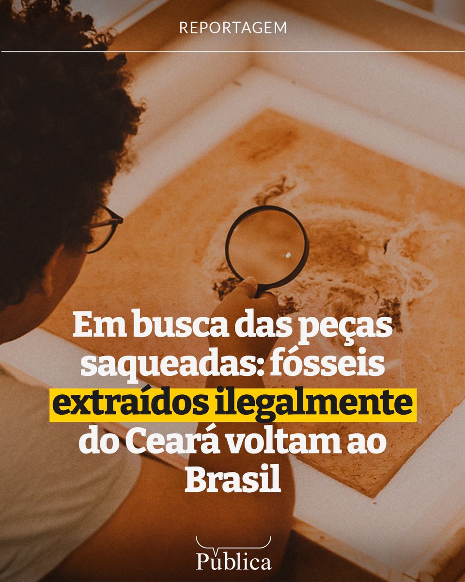🚨 Dentro de um contêiner na França, havia algo brasileiro. Mais de 2 toneladas de fósseis extraídos ilegalmente do sertão que seriam vendidas a colecionadores particulares foram trazidas de volta. agen.pub/fosseis
*Reportagem originalmente veiculada na Revista Babel.
