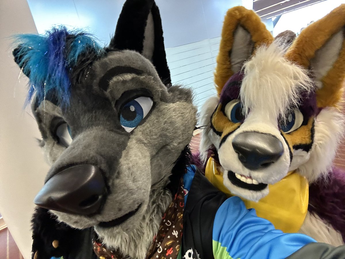 2️⃣ of them!

<a href="/ClypseFusky/">Clypse</a>  #ac2024