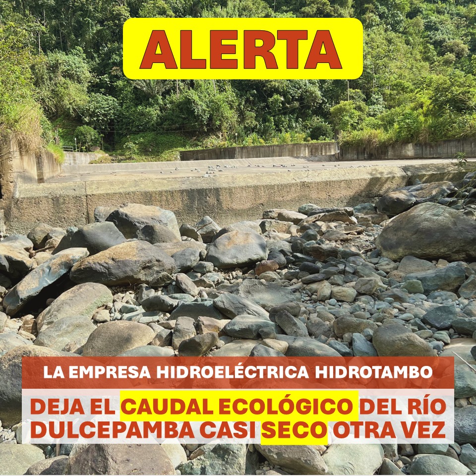 Justicia Dulcepamba tweet media