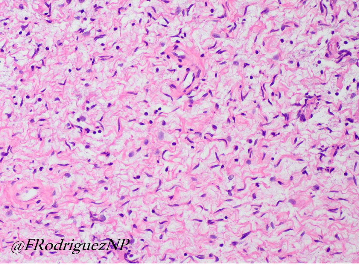 Fausto Rodriguez tweet media