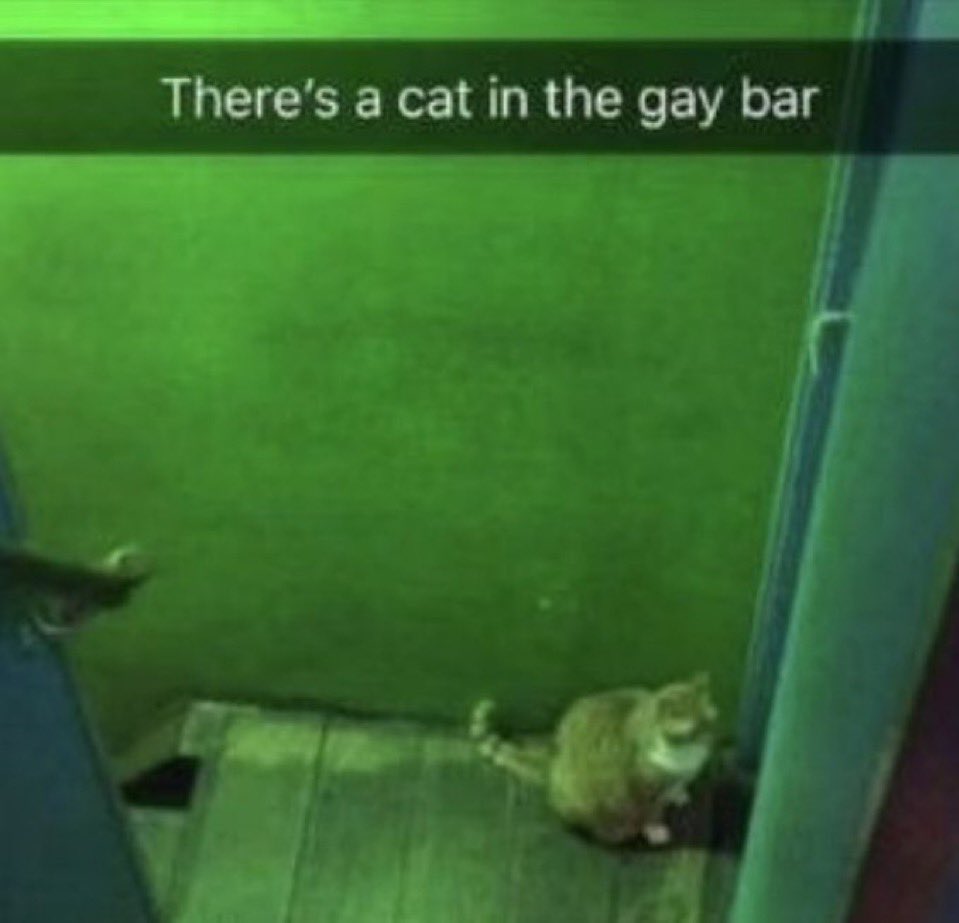 getbokked's tweet image. 