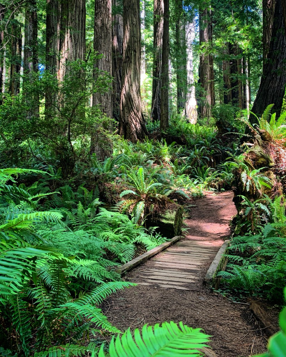 Trip-tripping over your bridge.