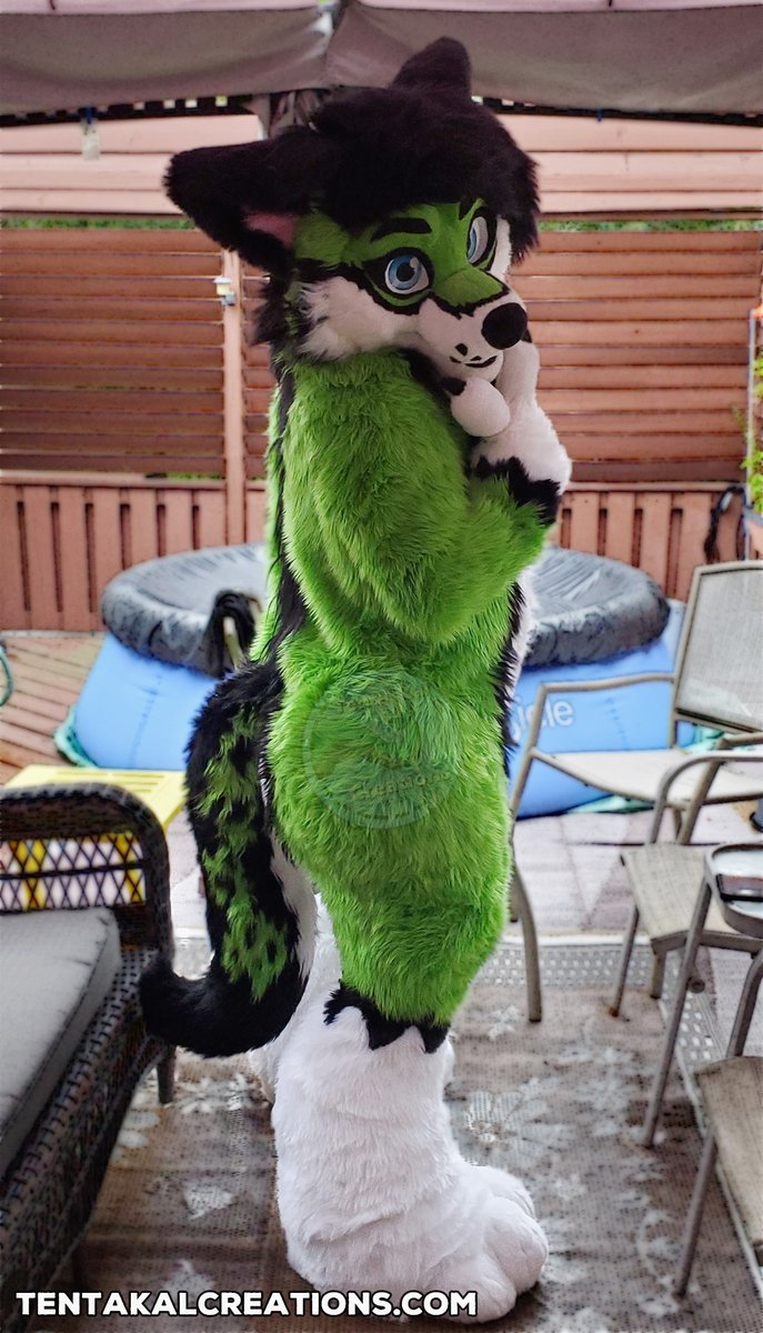 Tentakalcreates's tweet photo. Mosfet is finally complete!! Had such a blast working on this guy~ keep your eyes out for them at #anthrocon this weekend👀

#fursuitfriday #fursuit #fursuitmaker #fursuiting https://t.co/uJWWvTR9aD