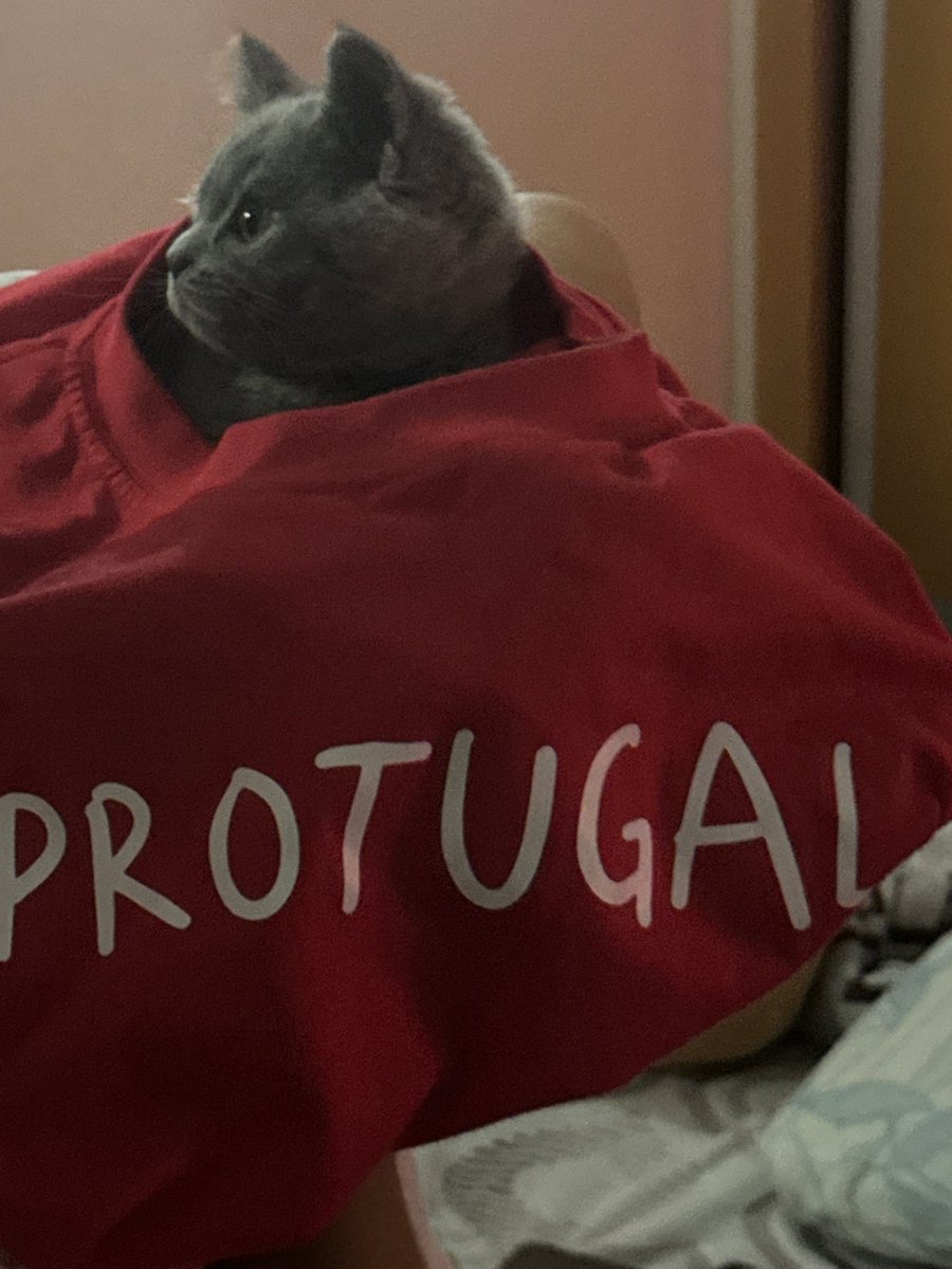 GN #PROTUGAL READ THE FOLLOWING PLEASE!
Letter from dev: 
  
I started this project with no prior knowledge of how to run a coin, no knowledge on crypto in general, just and idea and a dream.
 
 I fully dived into $PROTUGAL anyway, stopped working at my parent´s farm, stopped