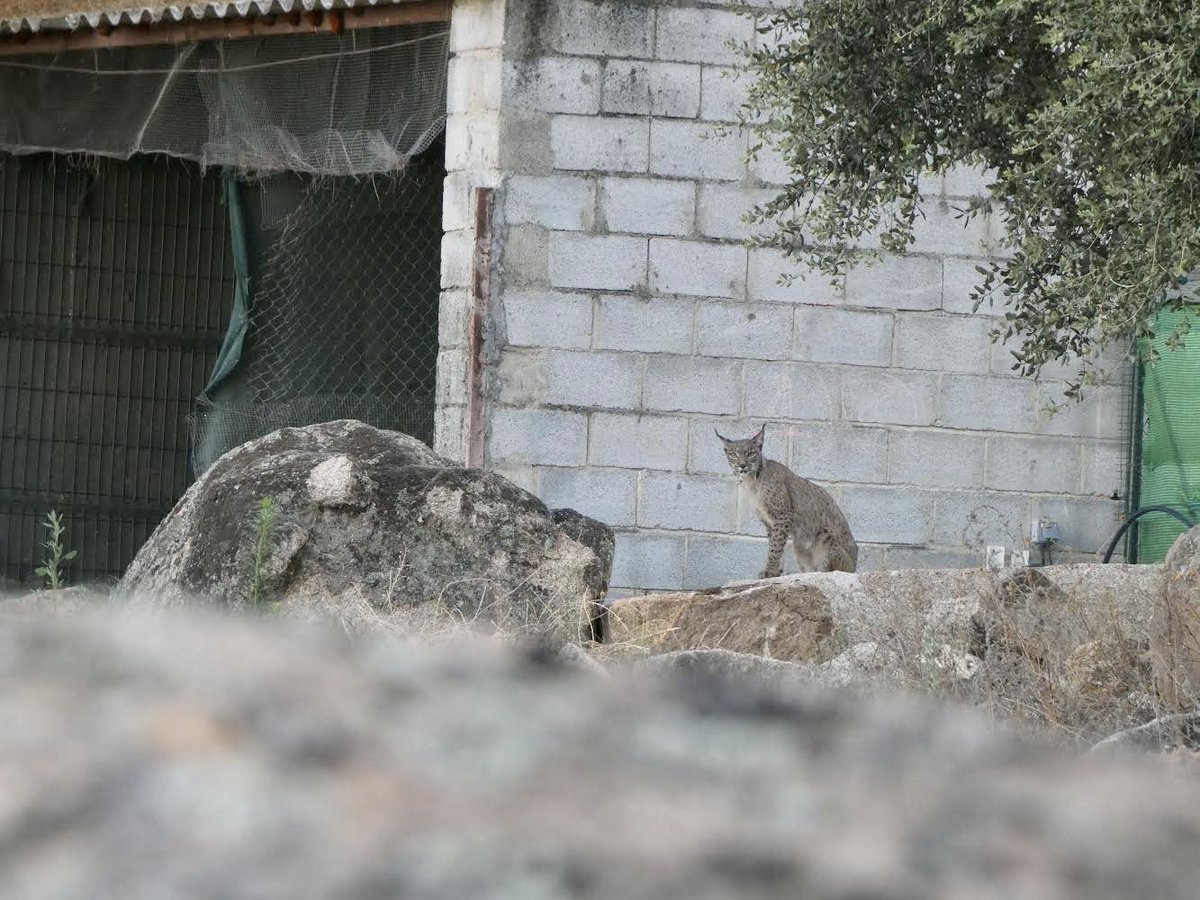 Sam Harris tweet media